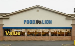 Food Lion Grocery Store Channel Lettering Store Front Sign With Logo